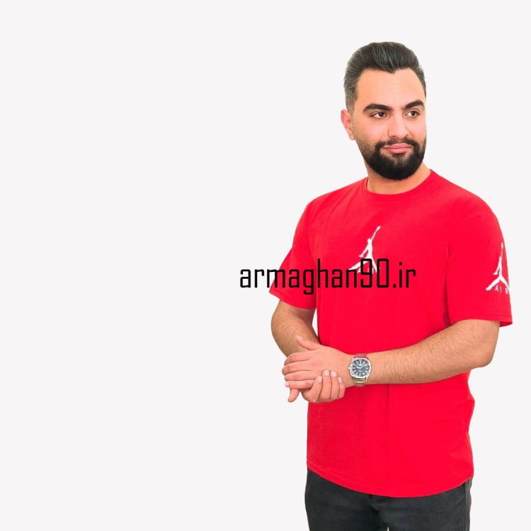 تیشرت Jordan هشت رنگ/نخ پنبه سایز L XL 2XL 3XL