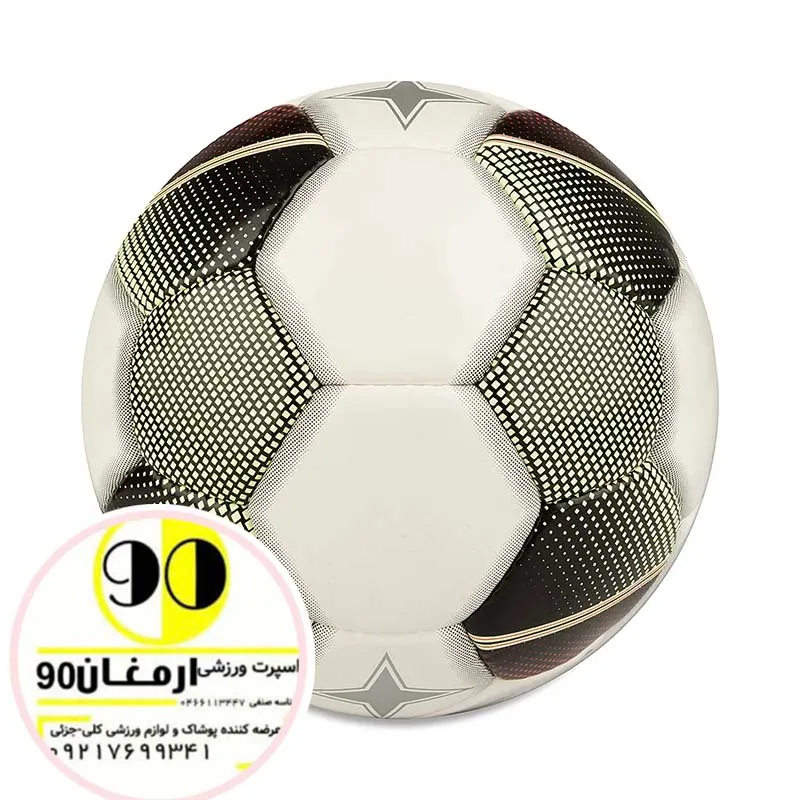 توپ سالنی
