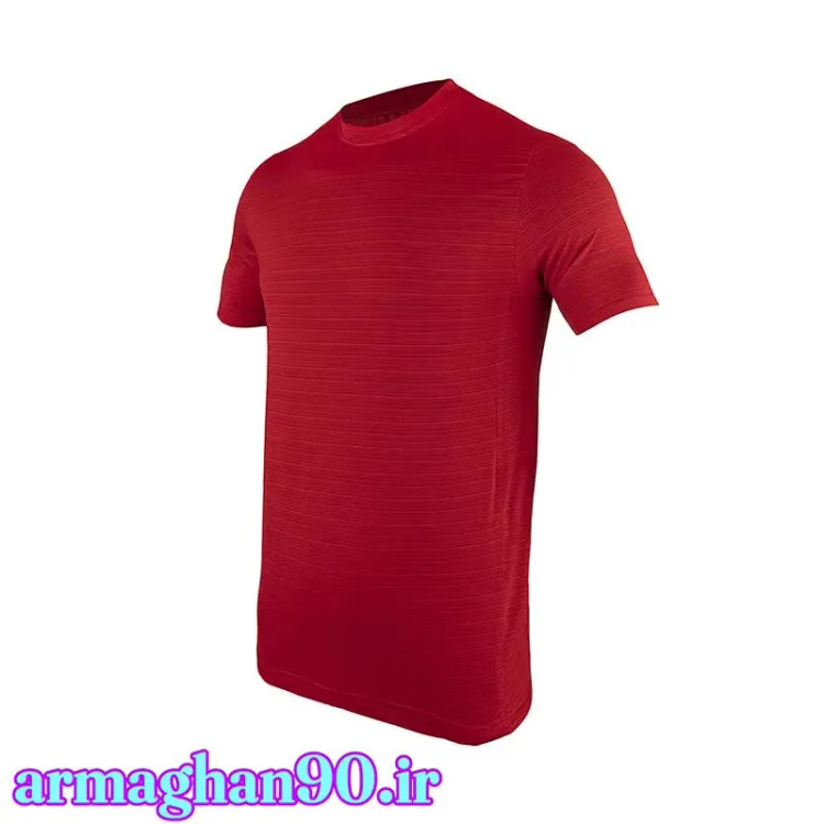 تیشرت ورزشی مردانه ایران اسپورتر Brick