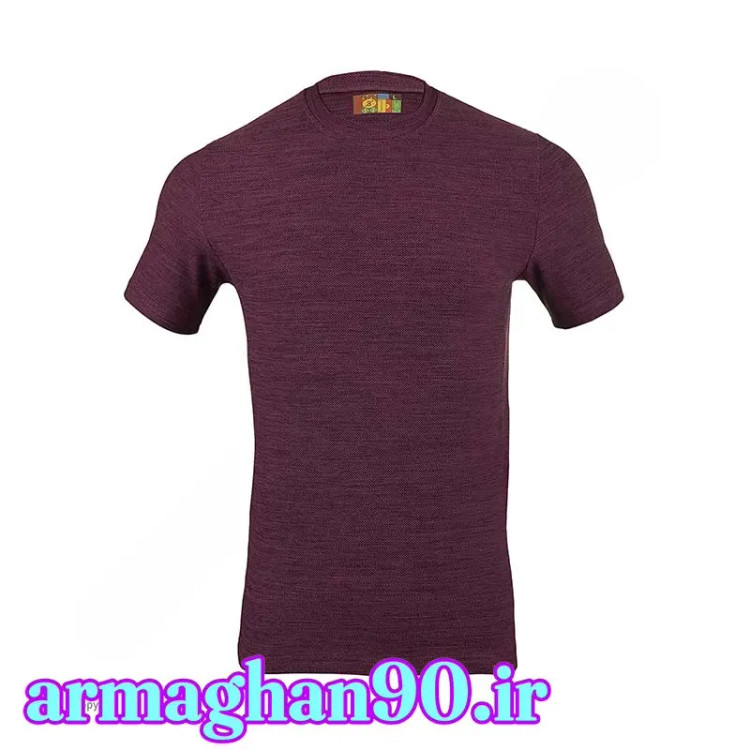 تیشرت ورزشی مردانه ایران اسپورتر دیور