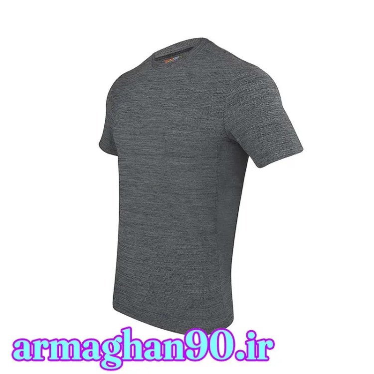 تیشرت ورزشی مردانه ایران اسپورتر دیور