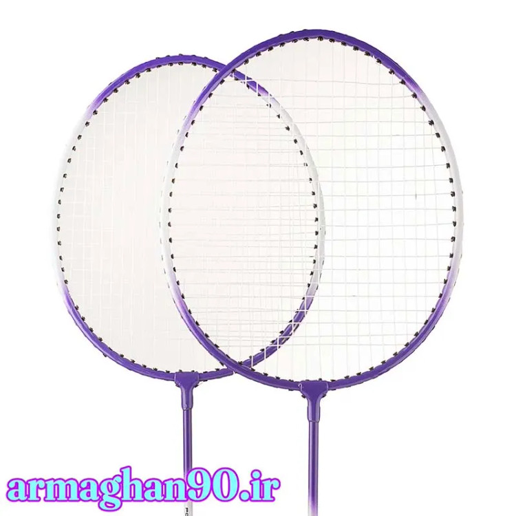 چوگان بدمنیتون